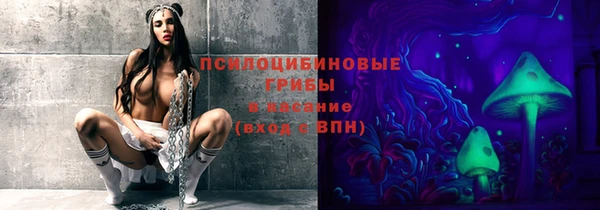 стафф Богданович