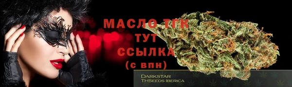 твердый Богородицк