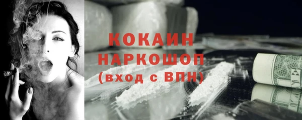 стафф Богданович