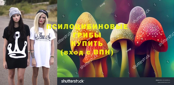 твердый Богородицк