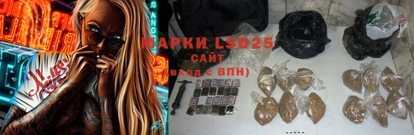 стафф Богданович