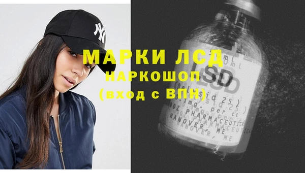 стафф Богданович
