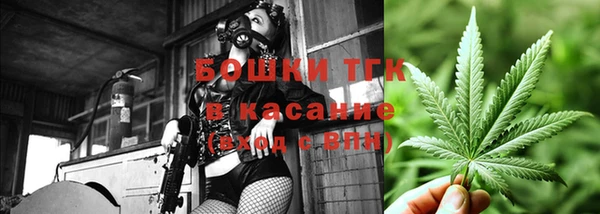 стафф Богданович