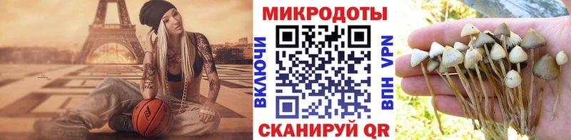 ссылка на мегу ссылка сколько стоит Реж Галлюциногенные грибы мухоморы
